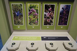 Neue Ausstellung "Harz erfrischend" in Neustadt. 