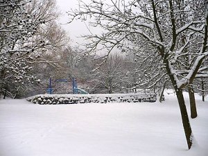 Winter im Borntal