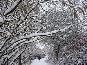 Winter im Borntal
