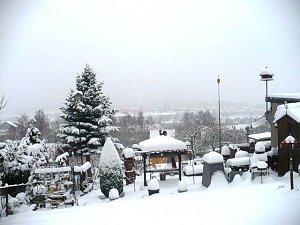 Winter im Borntal
