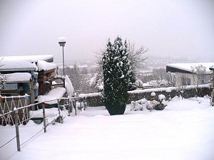Winter im Borntal