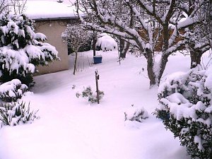 Winter im Borntal