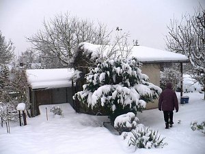 Winter im Borntal