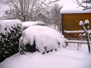 Winter im Borntal