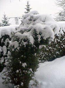 Winter im Borntal
