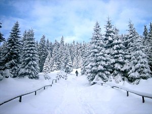 Bilder vom Brocken
