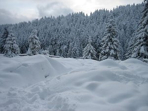 Bilder vom Brocken