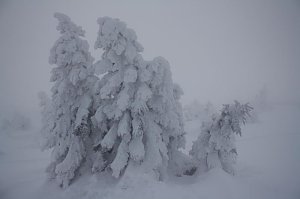 Bilder vom Brocken