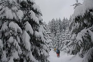 Bilder vom Brocken