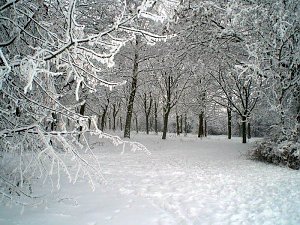Winter in Artern
