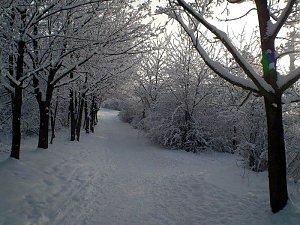Winter in Artern