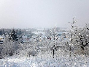 Winter in Artern