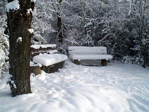 Winter in Artern