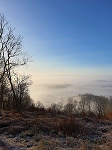 Wetterfahne