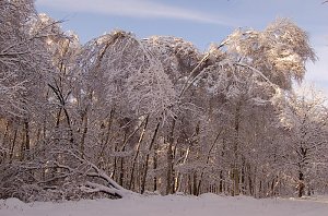 Schnee- und Eislast