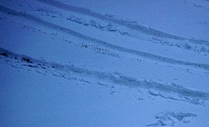 Schneeverwehungen