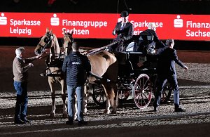 Peter Blei auf der "Partner Pferd" in Leipzig