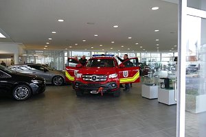 Autohaus Peter