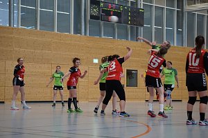 Handball