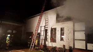 brand