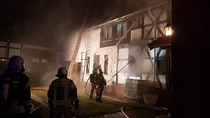 brand