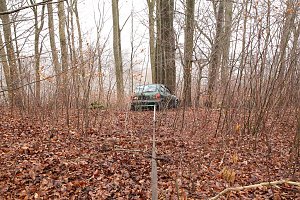 auto im Wald