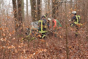 auto im Wald