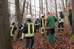 auto im Wald