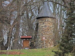 Winterlinge im Februar