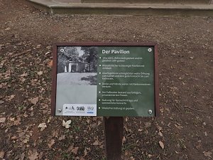 Winterlinge im Februar