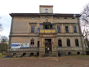 Winterlinge im Februar