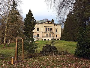 Winterlinge im Februar