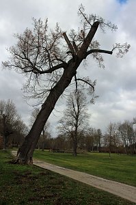 Sanierungskonzept f&uuml;r Schlosspark n&ouml;tig?
