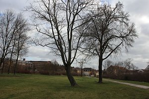 Sanierungskonzept f&uuml;r Schlosspark n&ouml;tig?