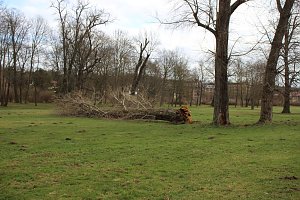 Sanierungskonzept f&uuml;r Schlosspark n&ouml;tig?