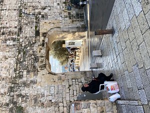 Die Reisegruppe aus Nordhausen begab sich auf Spurensuche in Jerusalem, Bethlehem und Bet Schemesch
