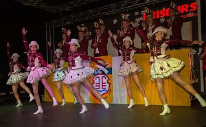 Salzaer N&auml;rrinnen und Narren feierten im Jugendclubhaus