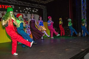 Salzaer N&auml;rrinnen und Narren feierten im Jugendclubhaus