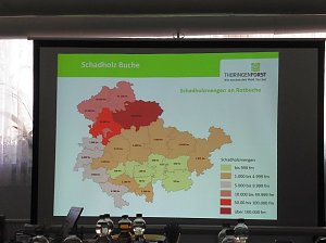 Die W&auml;lder der Hain- und Windleite