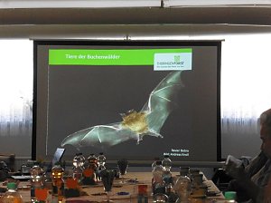 Die W&auml;lder der Hain- und Windleite