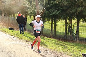42. Albert-Kuntz Lauf