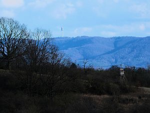 Wasserb&uuml;ffel