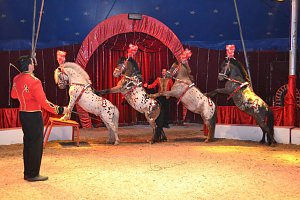 Eine Reise ins Traumland�