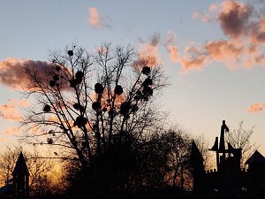 Abendstimmung auf dem Petersberg