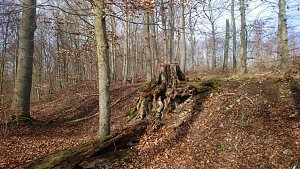 Neues vom 30. Possenlauf 2020