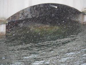 Der letzte Schnee und Vorboten des Fr&uuml;hlings