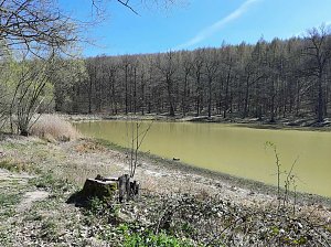 Schlechte Karten f&uuml;r die Kr&ouml;ten