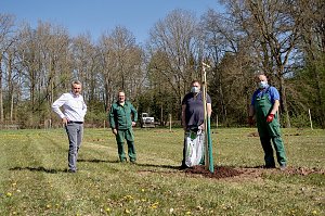 Obstb&auml;ume in Werna gepflanzt