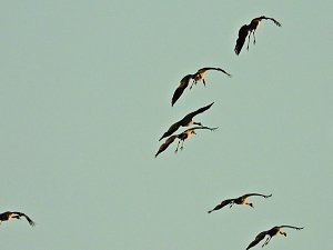 Peter Blei unterwegs am Stausee Kelbra
