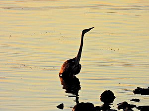 Peter Blei unterwegs am Stausee Kelbra